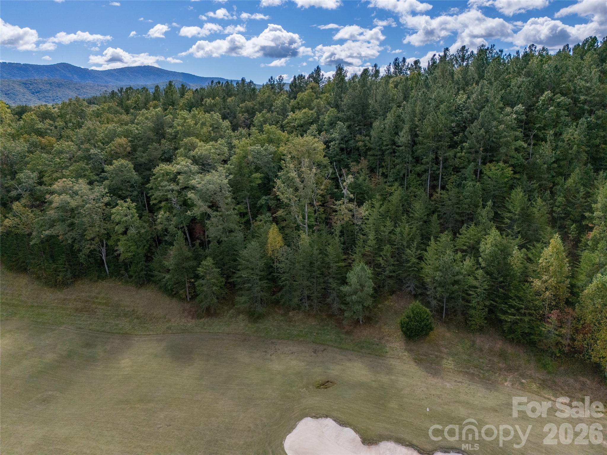 000 Deep Gap Farm Drive 2021 Property Photo 15