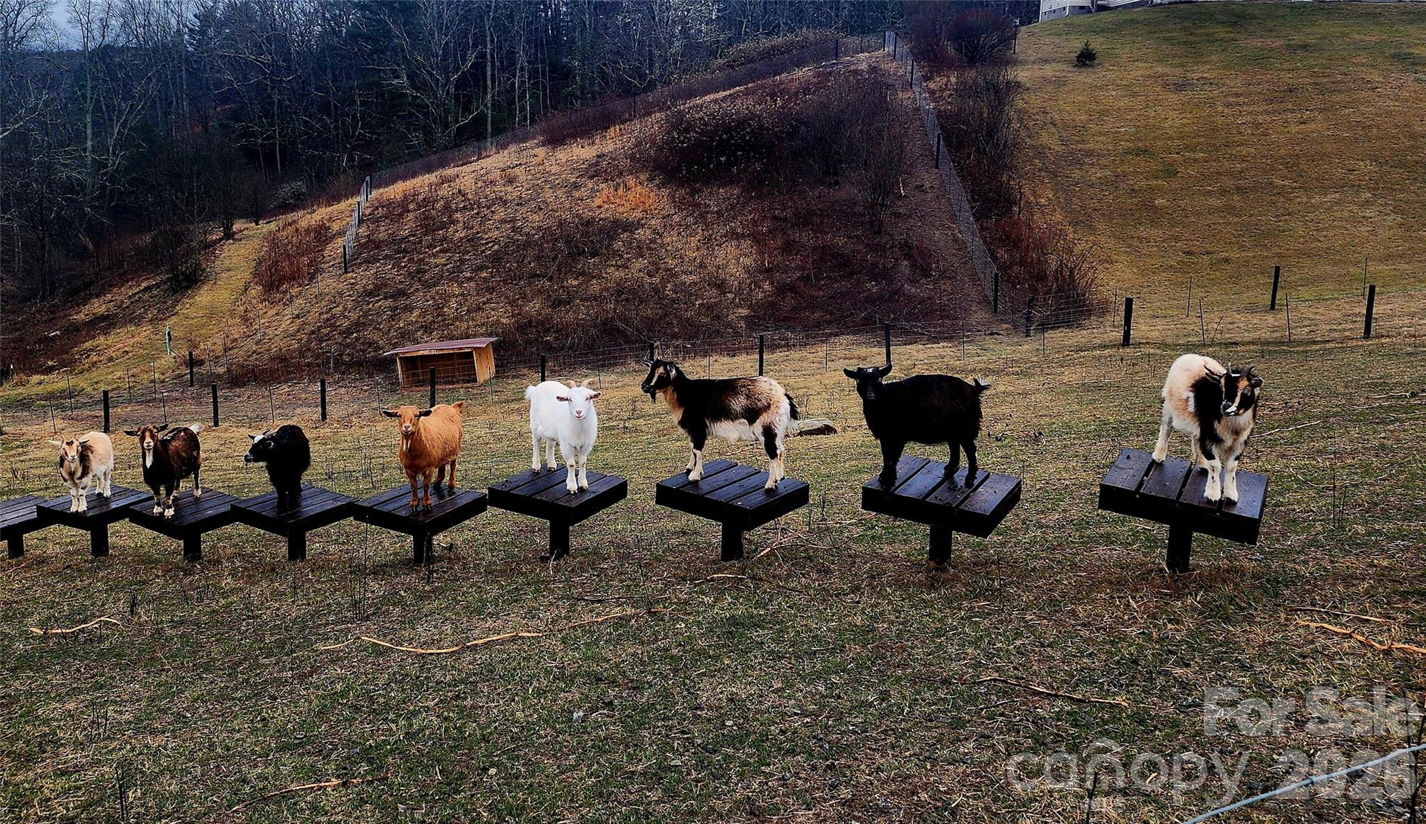 202 Westridge Farm Road 4 Property Photo 35