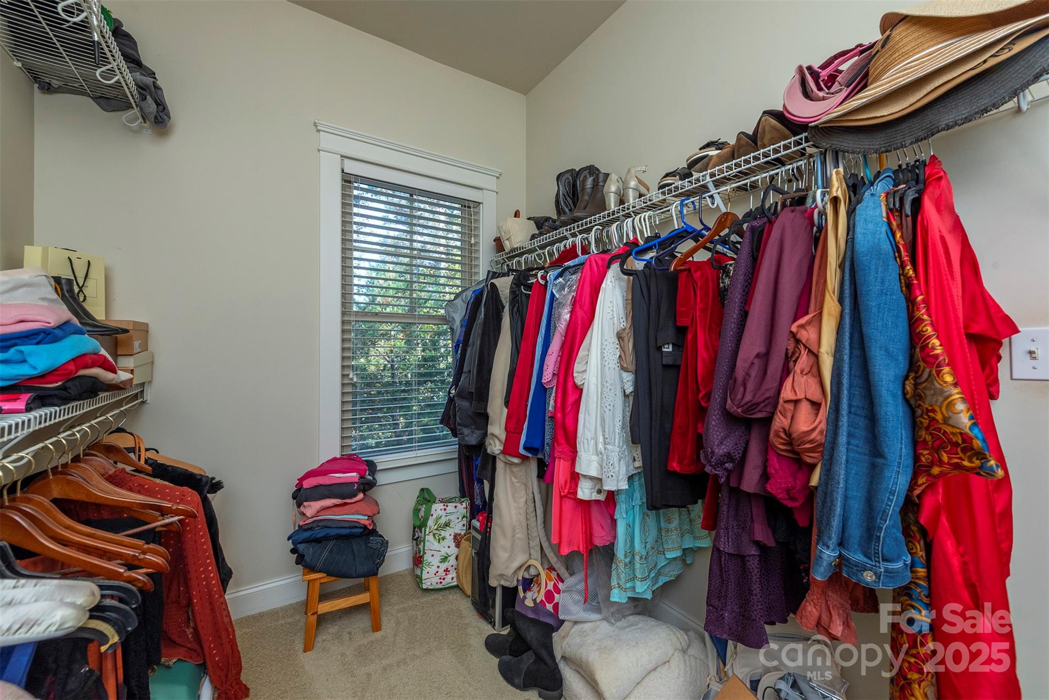 4 Yellow Owl Court Property Photo 28