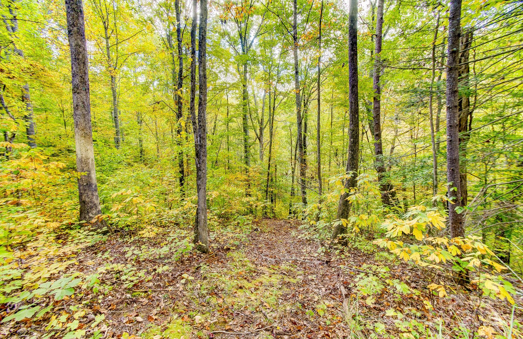 443 Glen Valley Drive Property Photo 3