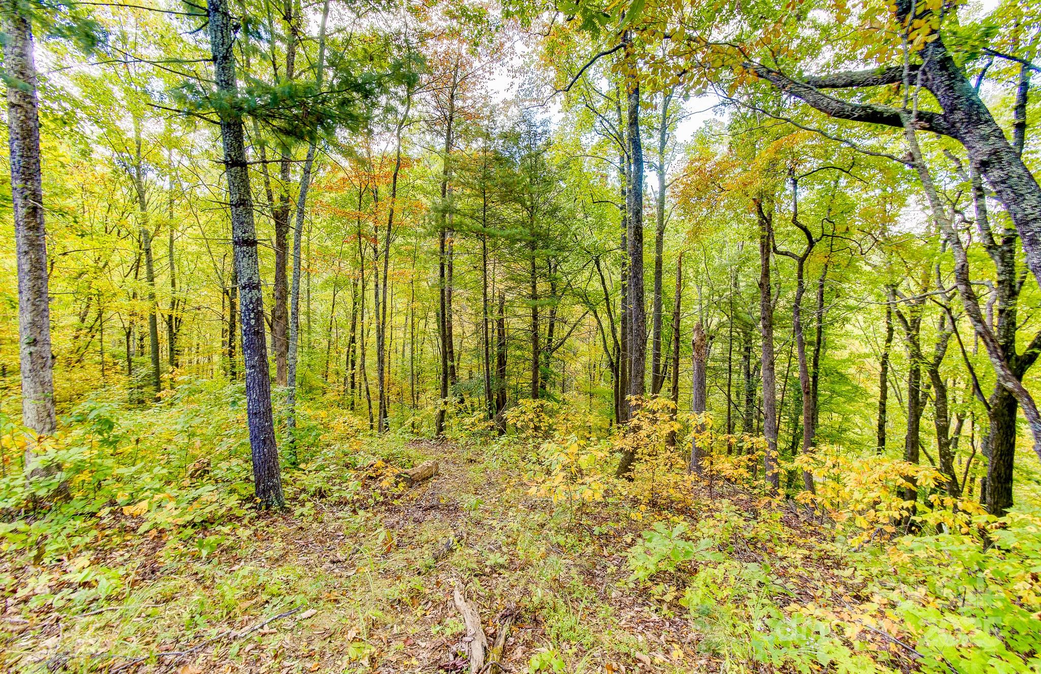 443 Glen Valley Drive Property Photo 5