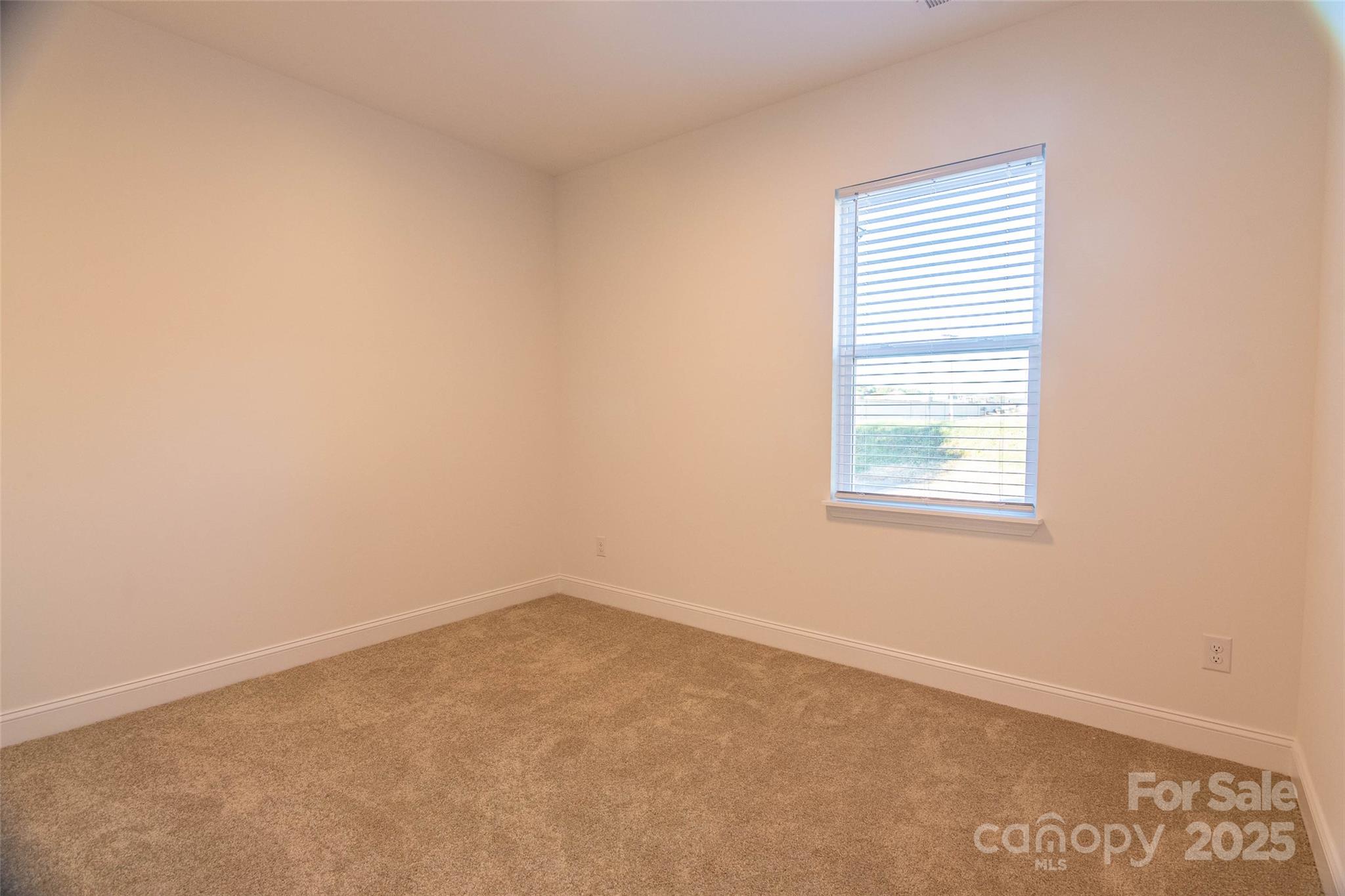 719 Smith Street Property Photo 19