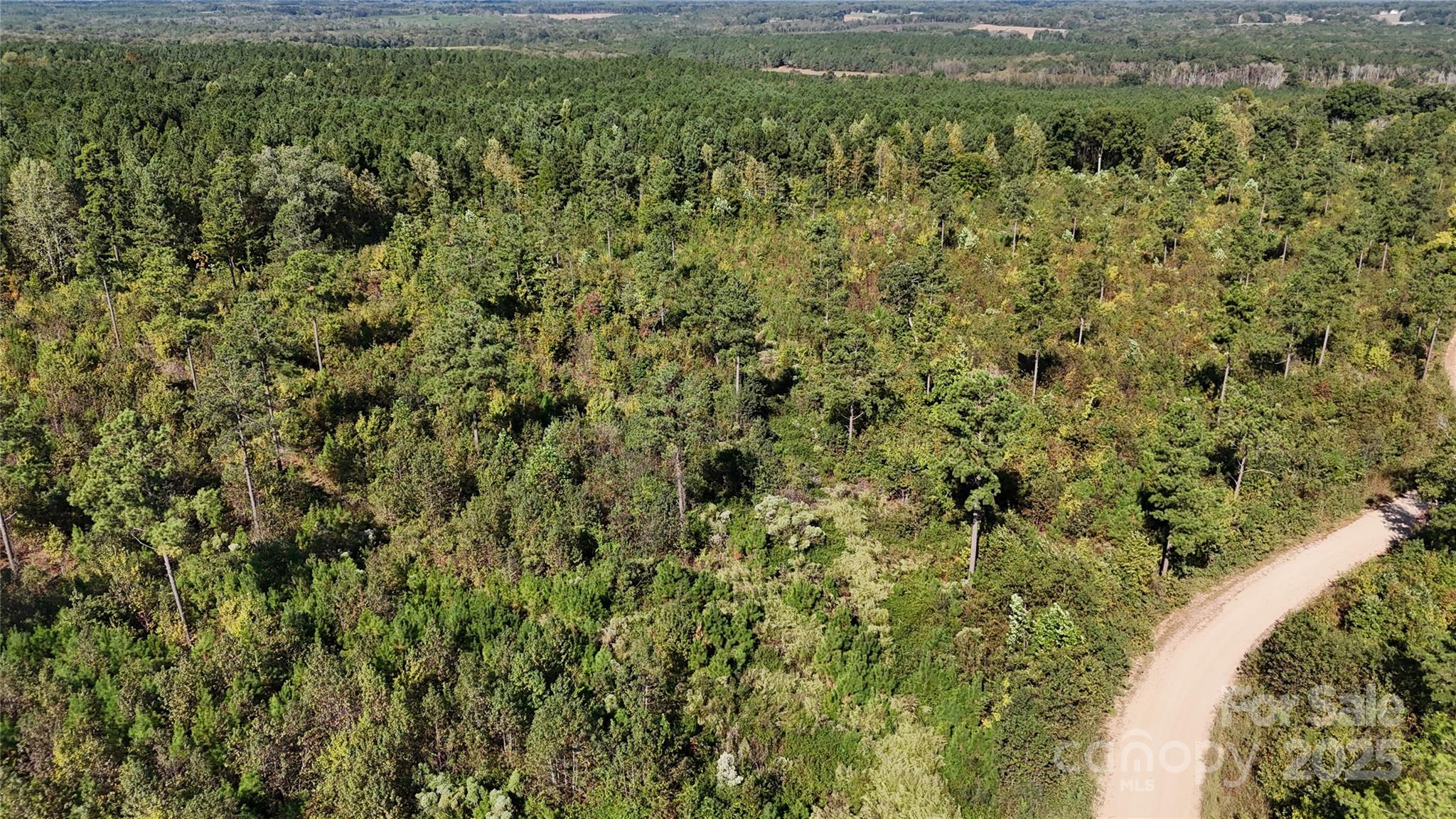 Lot 6 Farris Cato Road Property Photo 11