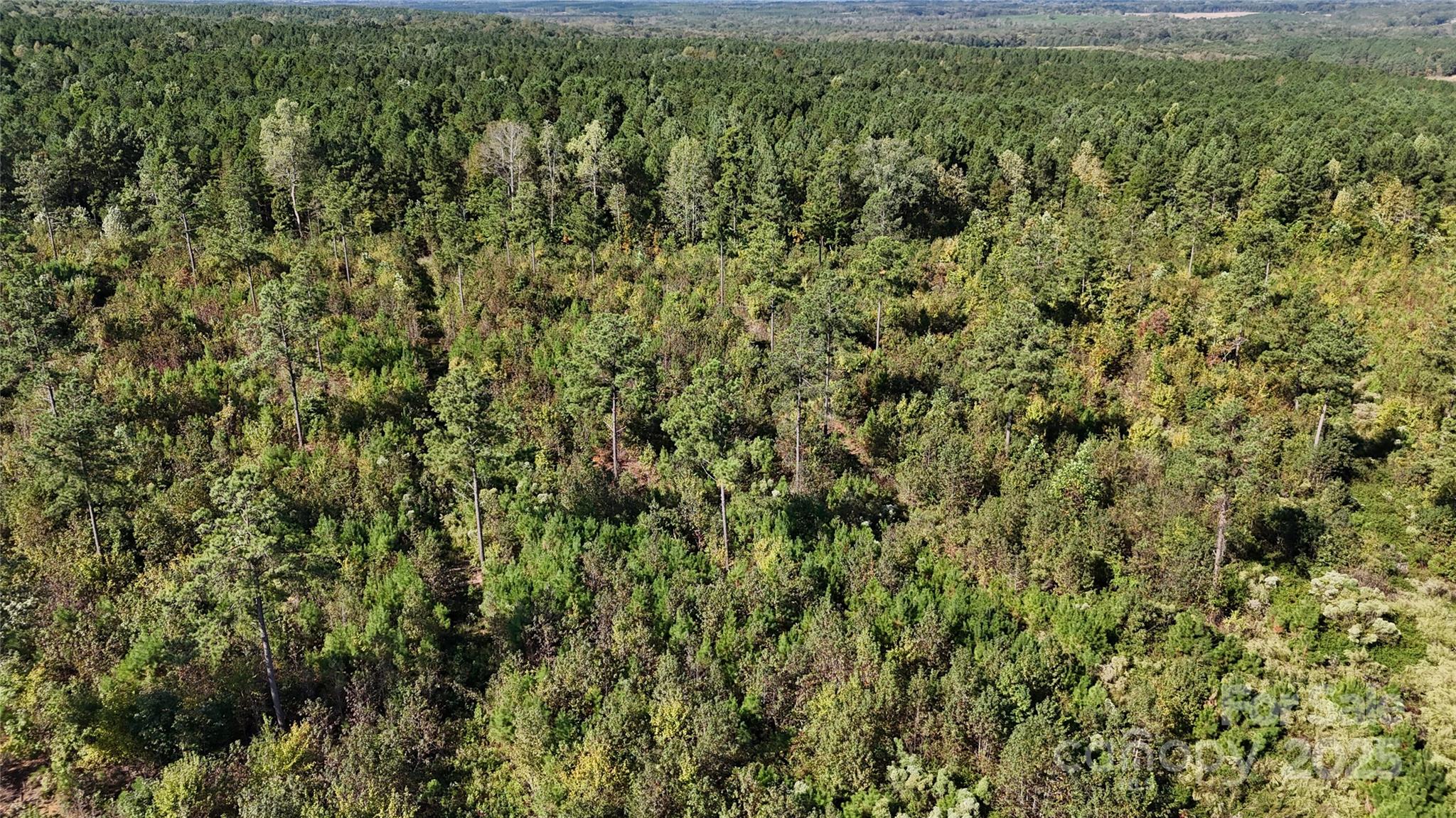 Lot 6 Farris Cato Road Property Photo 12
