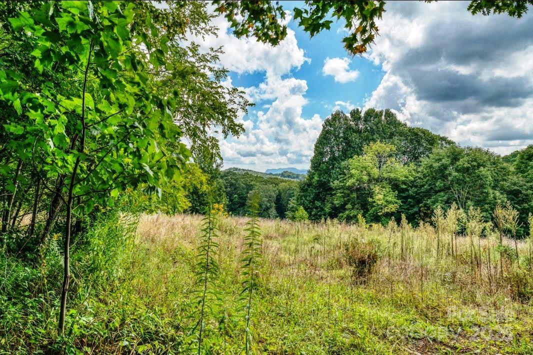 0 Cow Camp Road Property Photo 1
