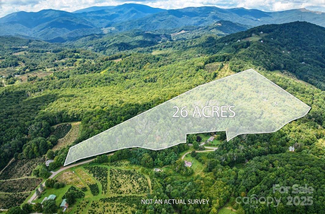 0 Cow Camp Road Property Photo 4