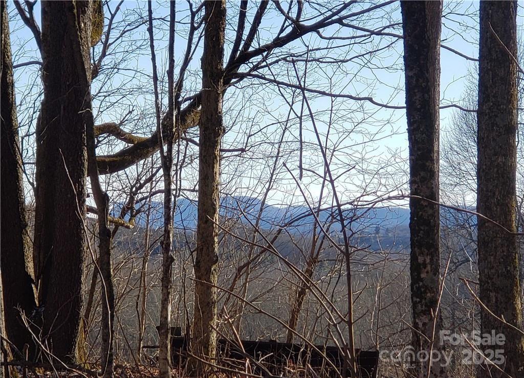 0 Cow Camp Road Property Photo 16