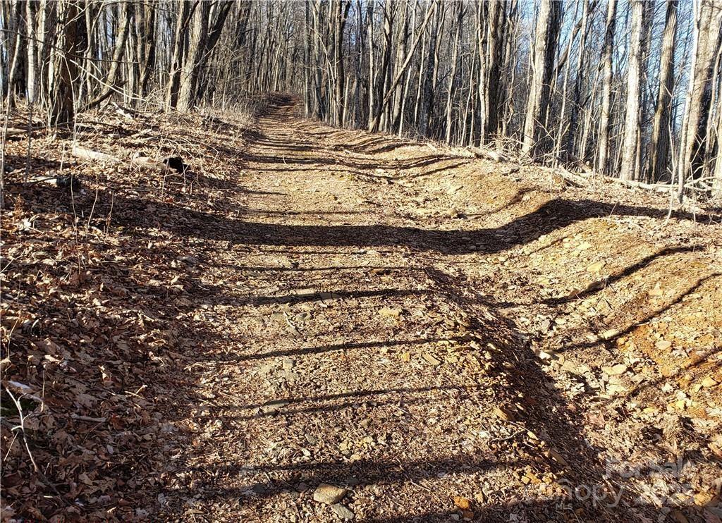 0 Cow Camp Road Property Photo 17