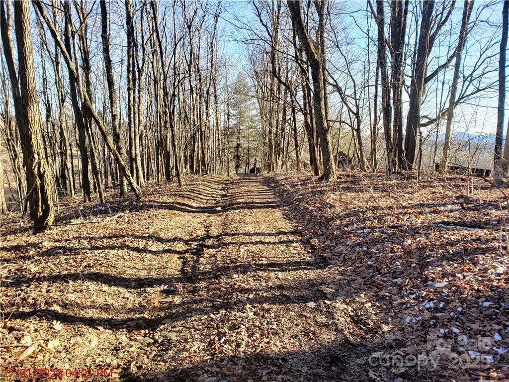 0 Cow Camp Road Property Photo 18