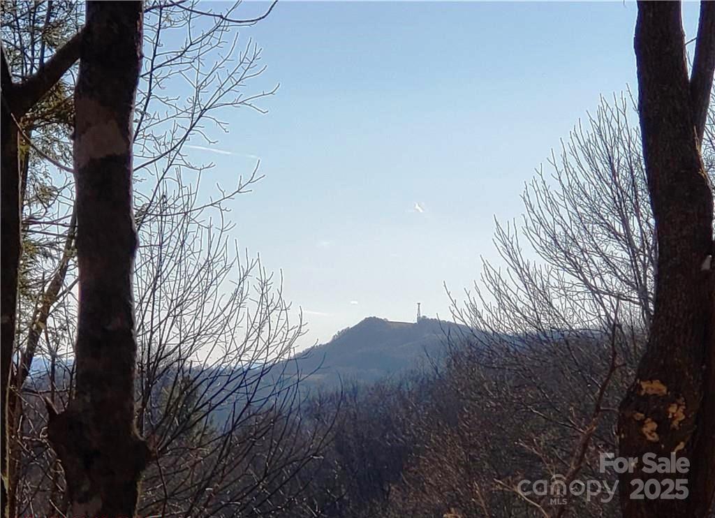 0 Cow Camp Road Property Photo 19