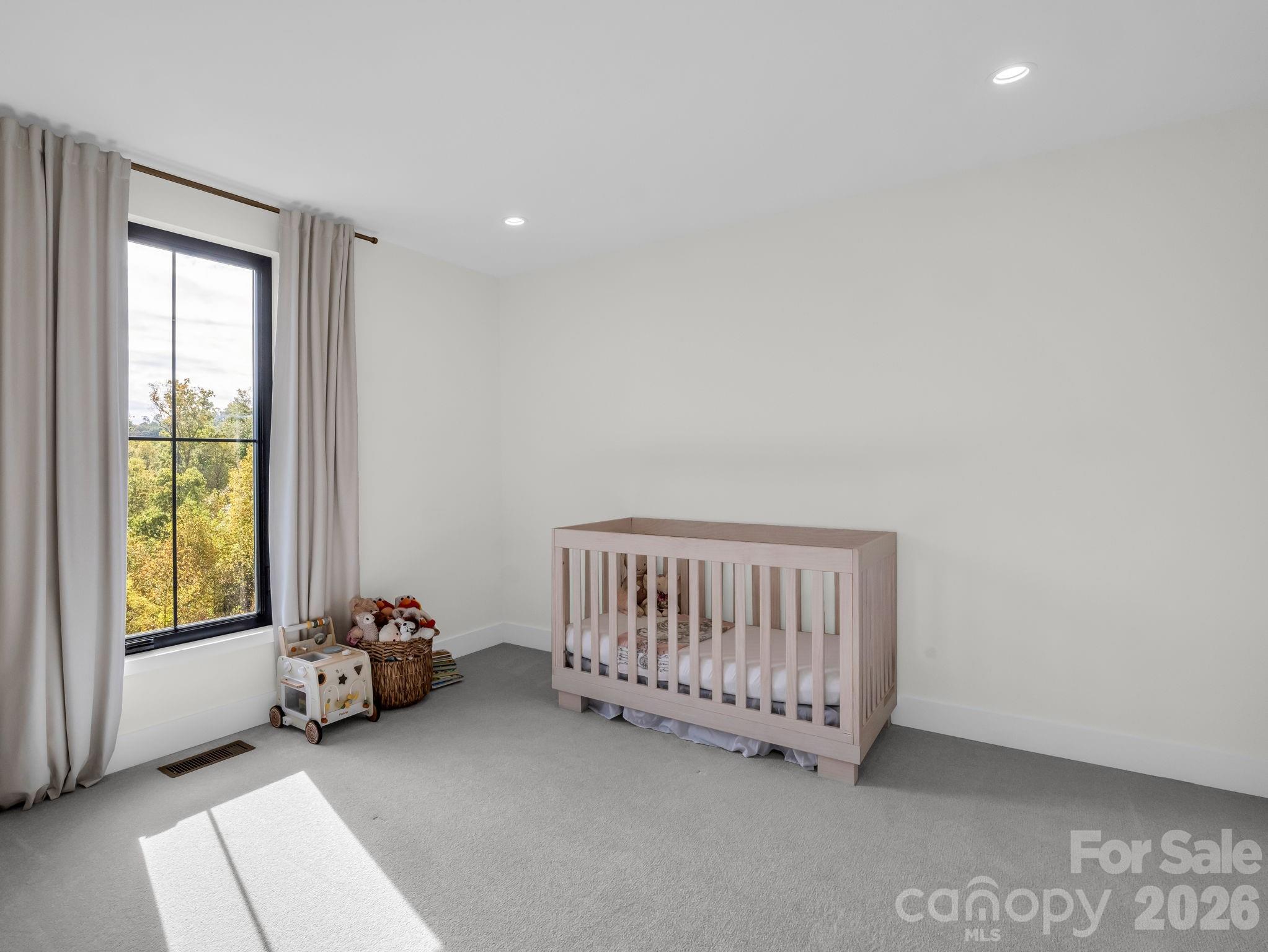 123 Millbrae Loop Property Photo 41