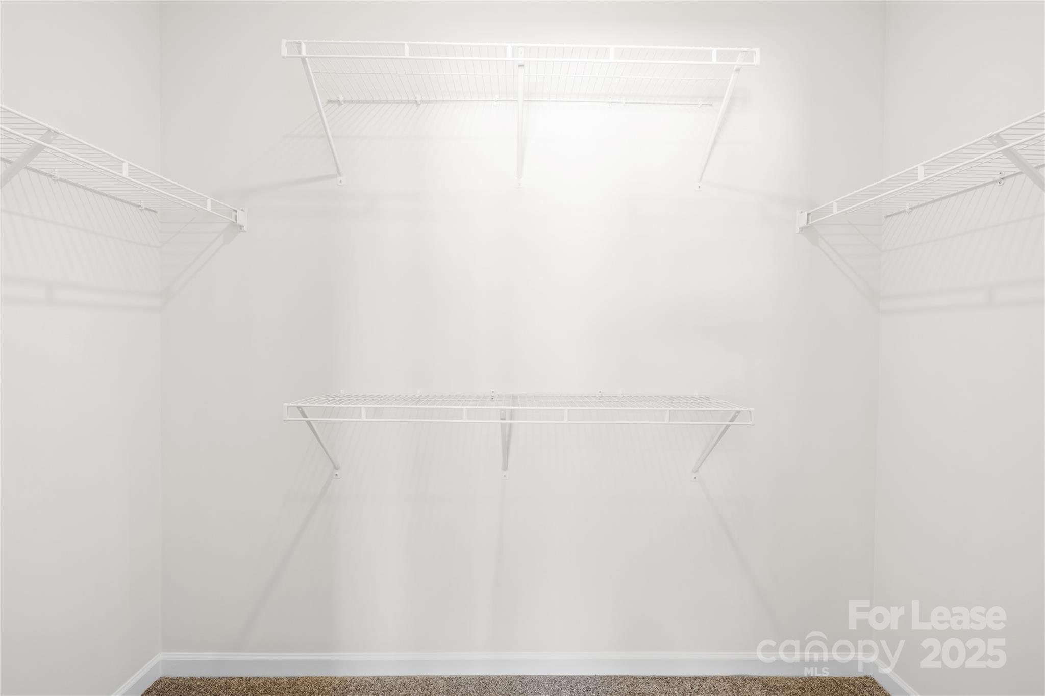 5864 Coulee Lane Property Photo 19