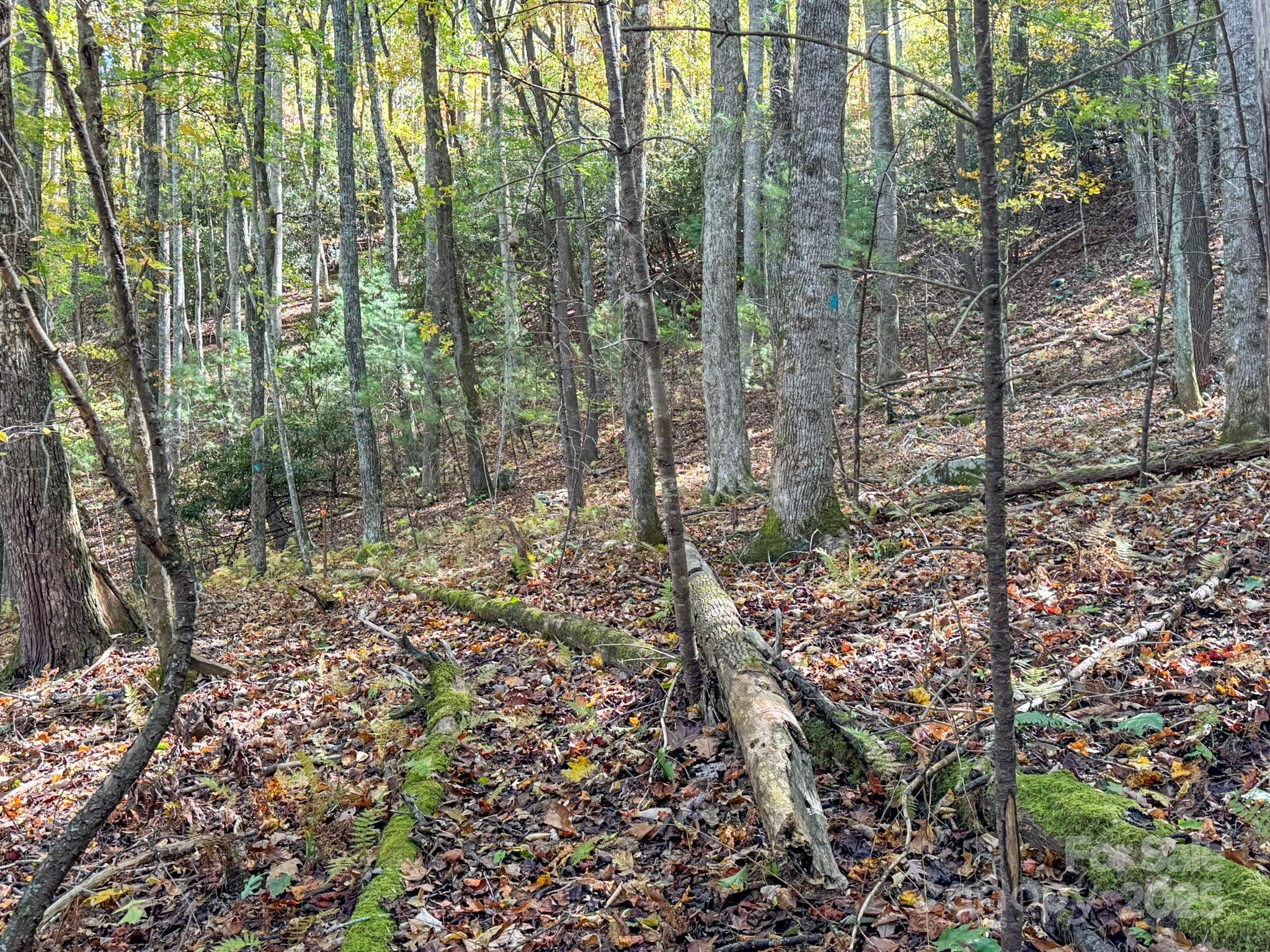345 Christa Lane Property Photo 8