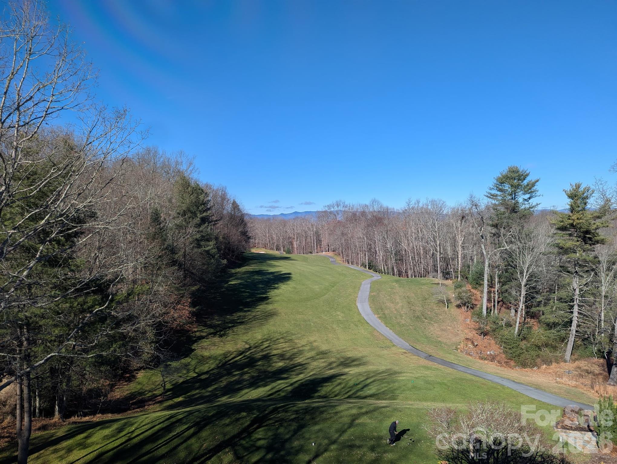 1955 Connestee Trail Property Photo 37
