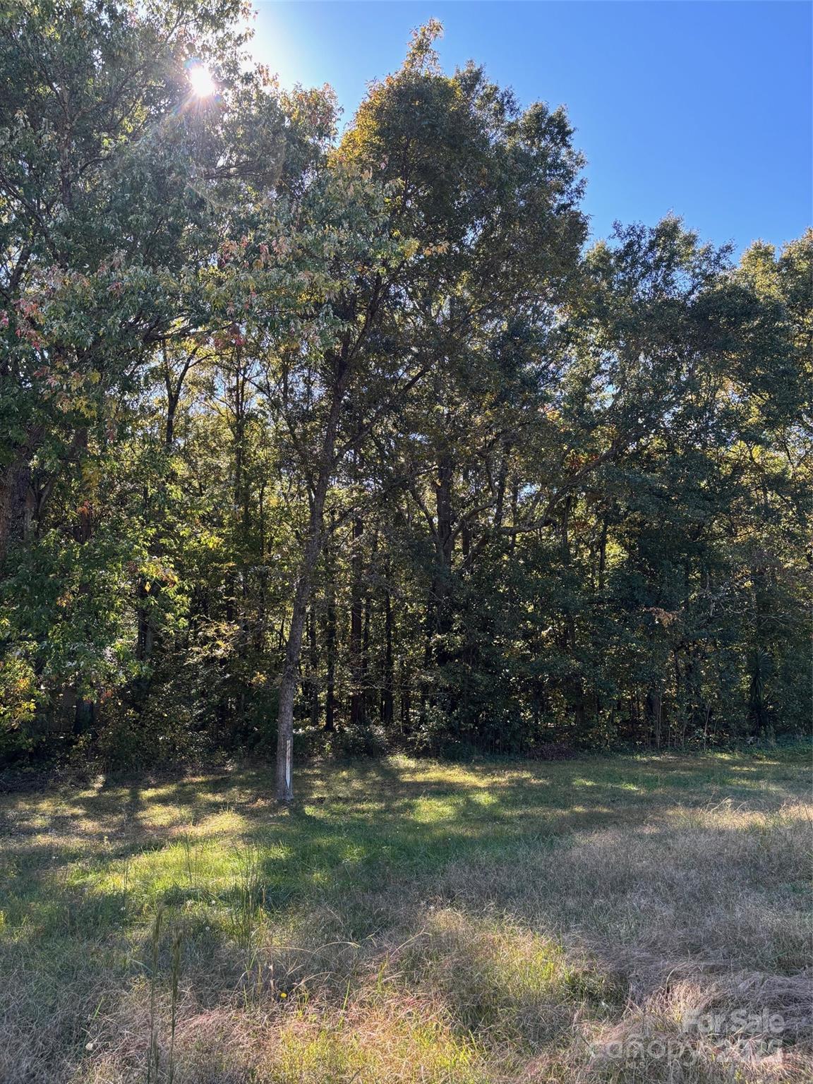 - Pinewood Circle Property Photo 3