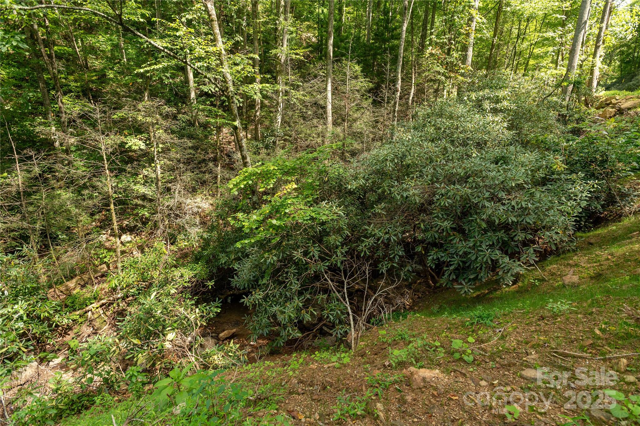 99999 Christian Creek Road Property Photo 3