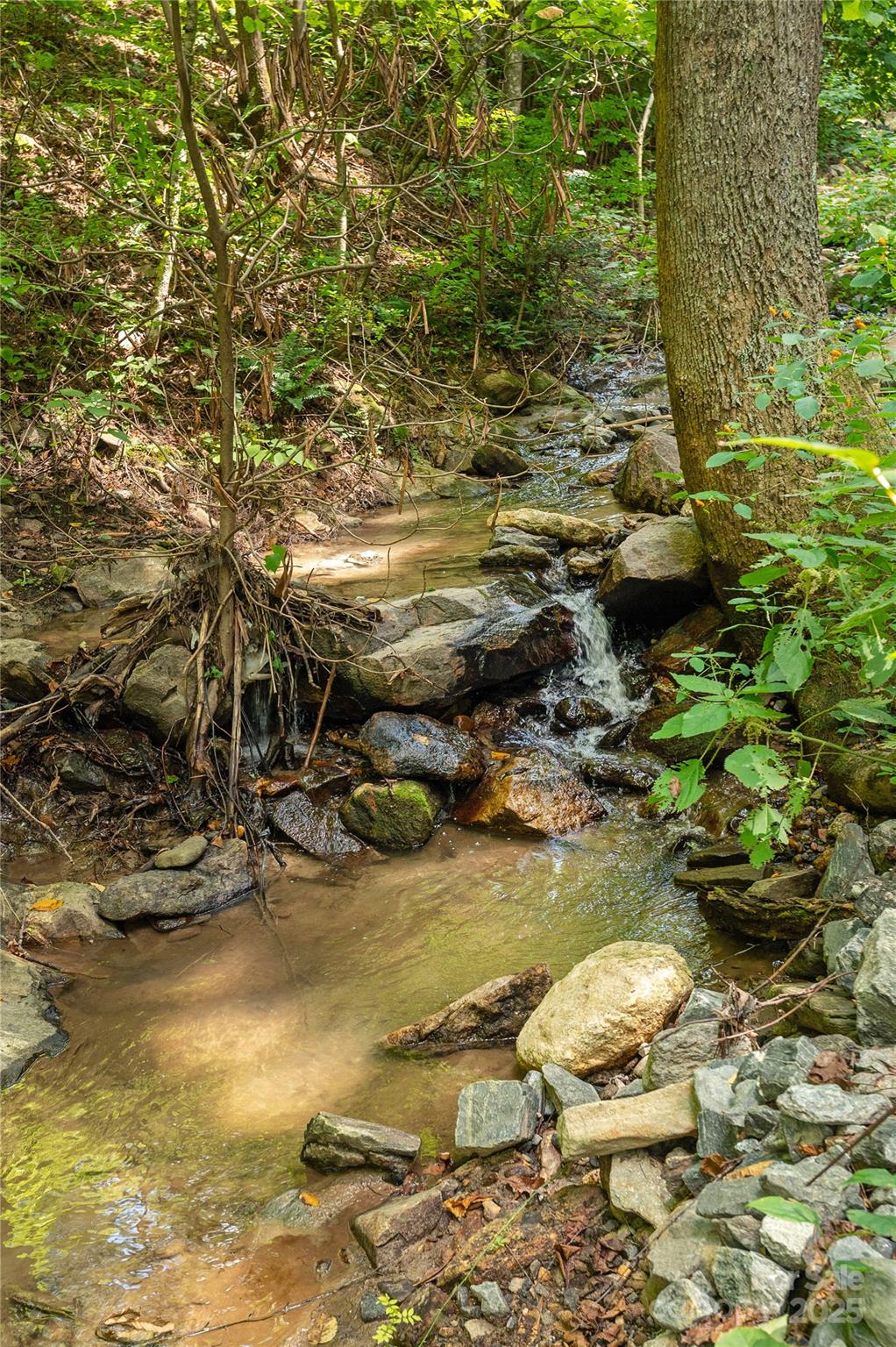 99999 Christian Creek Road Property Photo 6