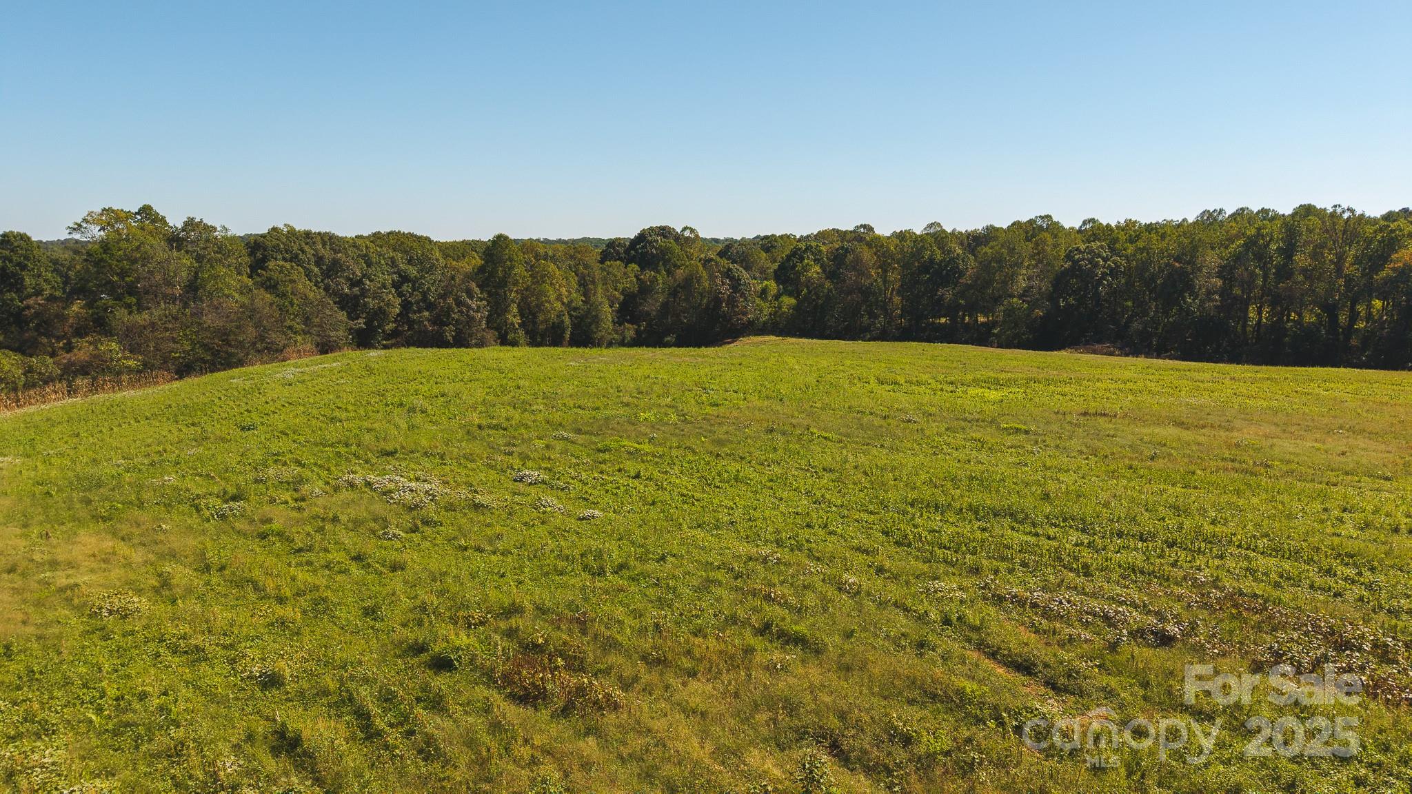 Tbd Mary Lane Property Photo 2