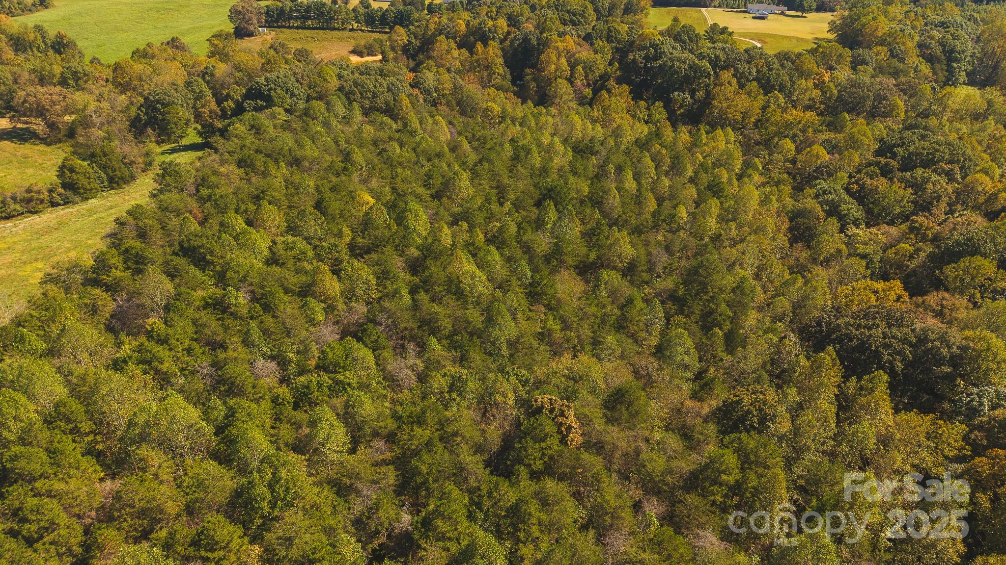 Tbd Mary Lane Property Photo 6