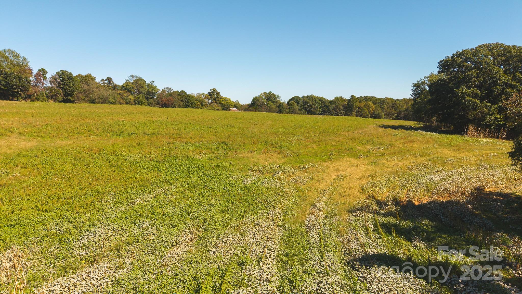 Tbd Mary Lane Property Photo 18