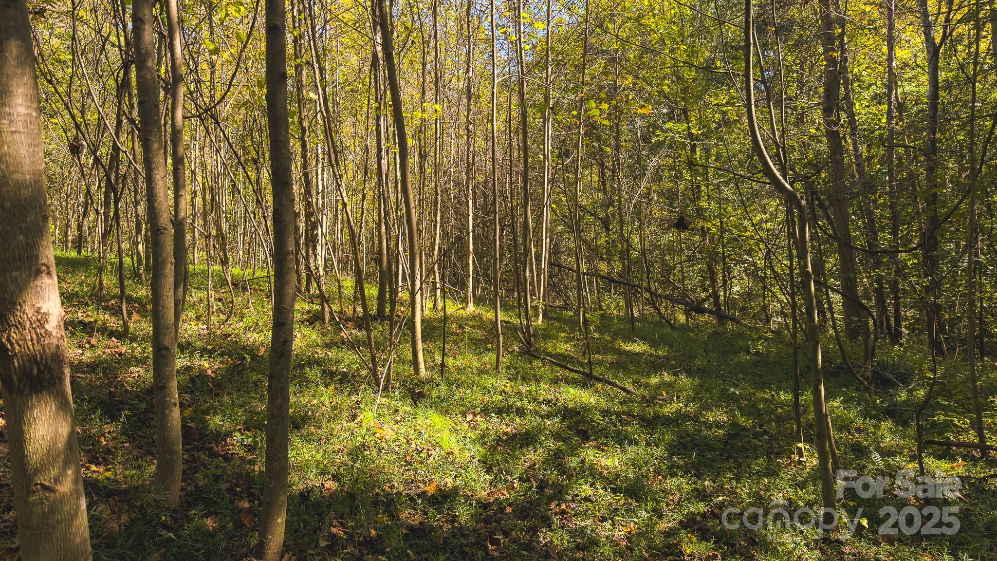 Tbd Mary Lane Property Photo 19