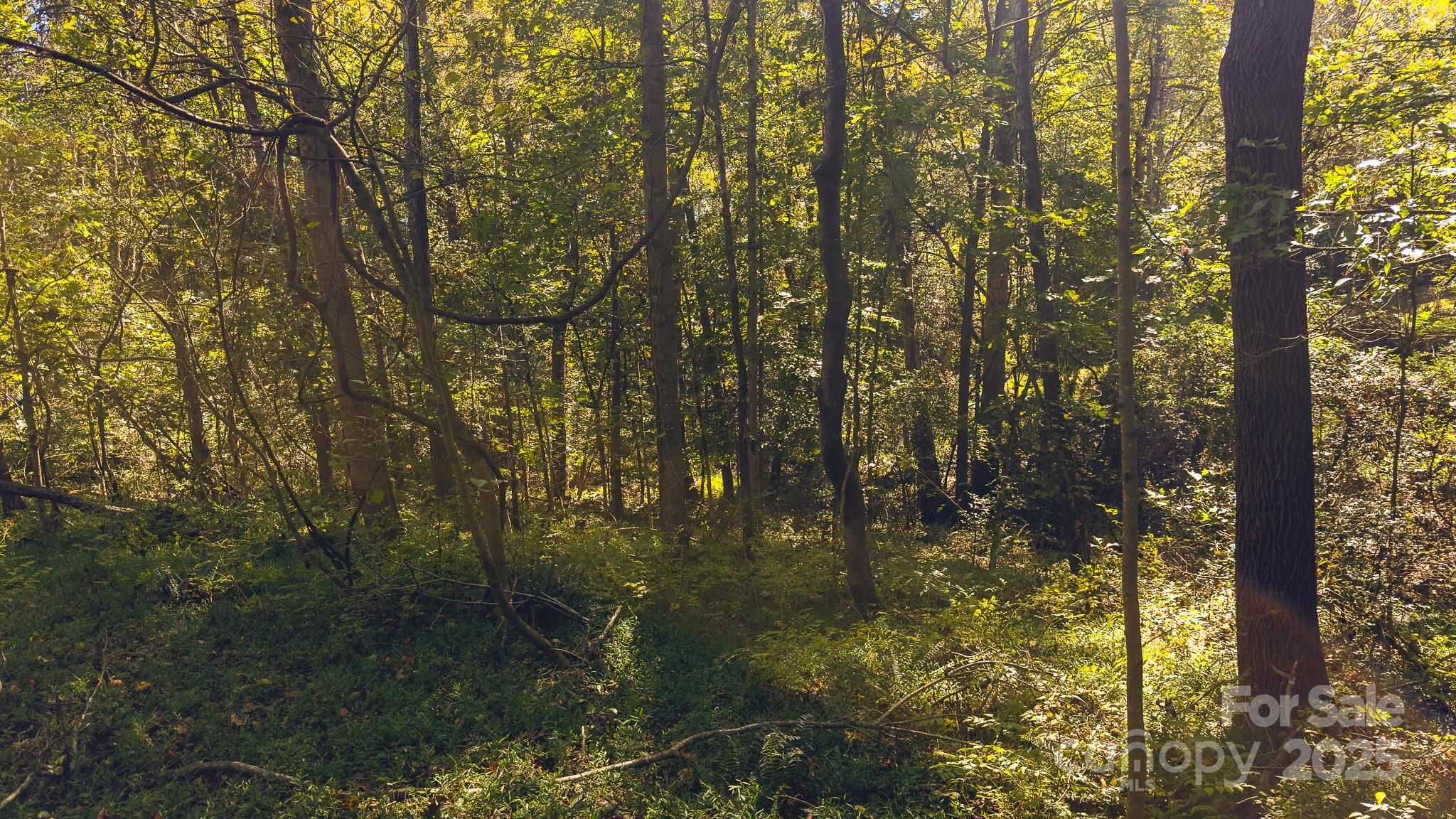 Tbd Mary Lane Property Photo 20