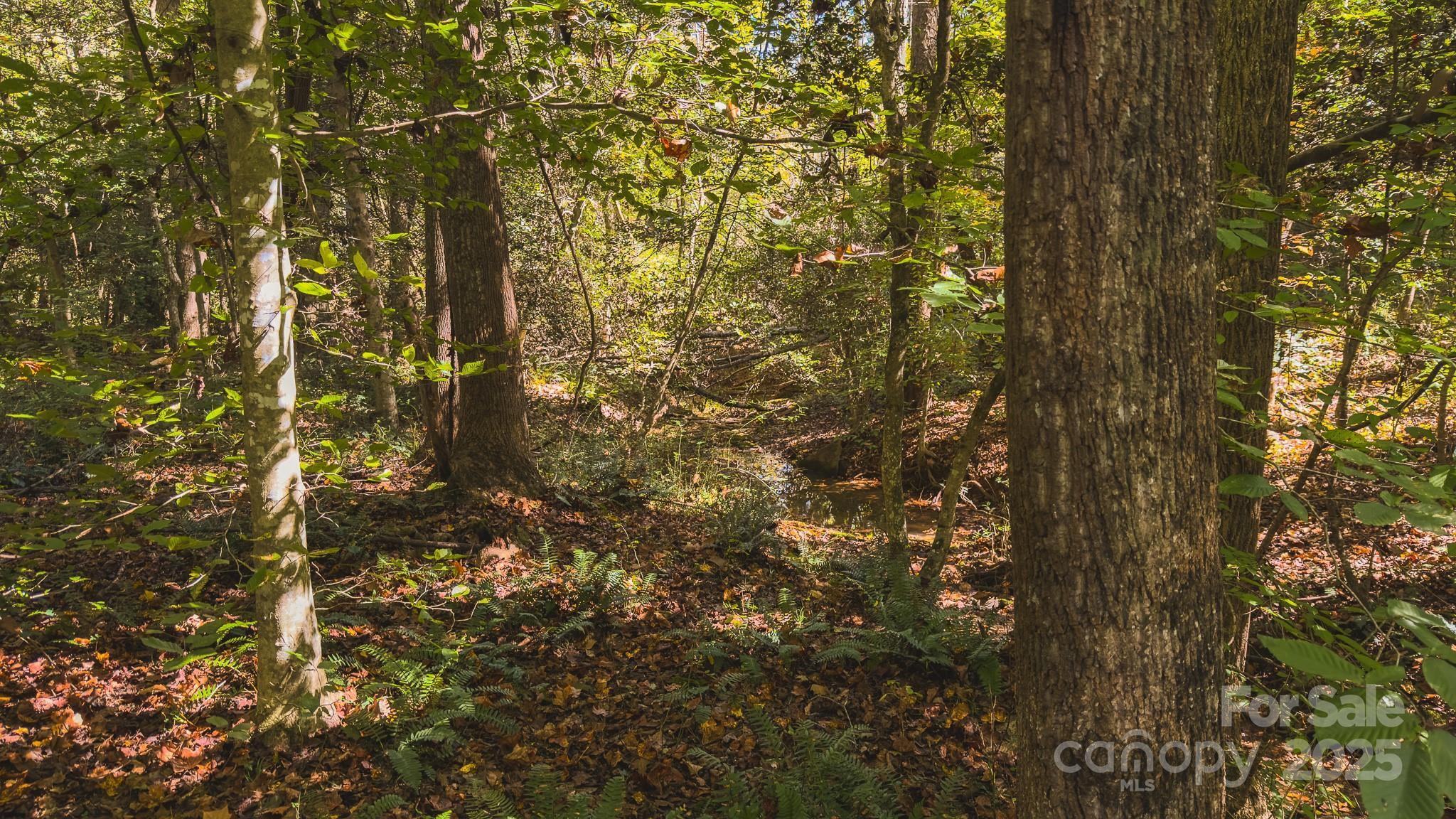 Tbd Mary Lane Property Photo 21