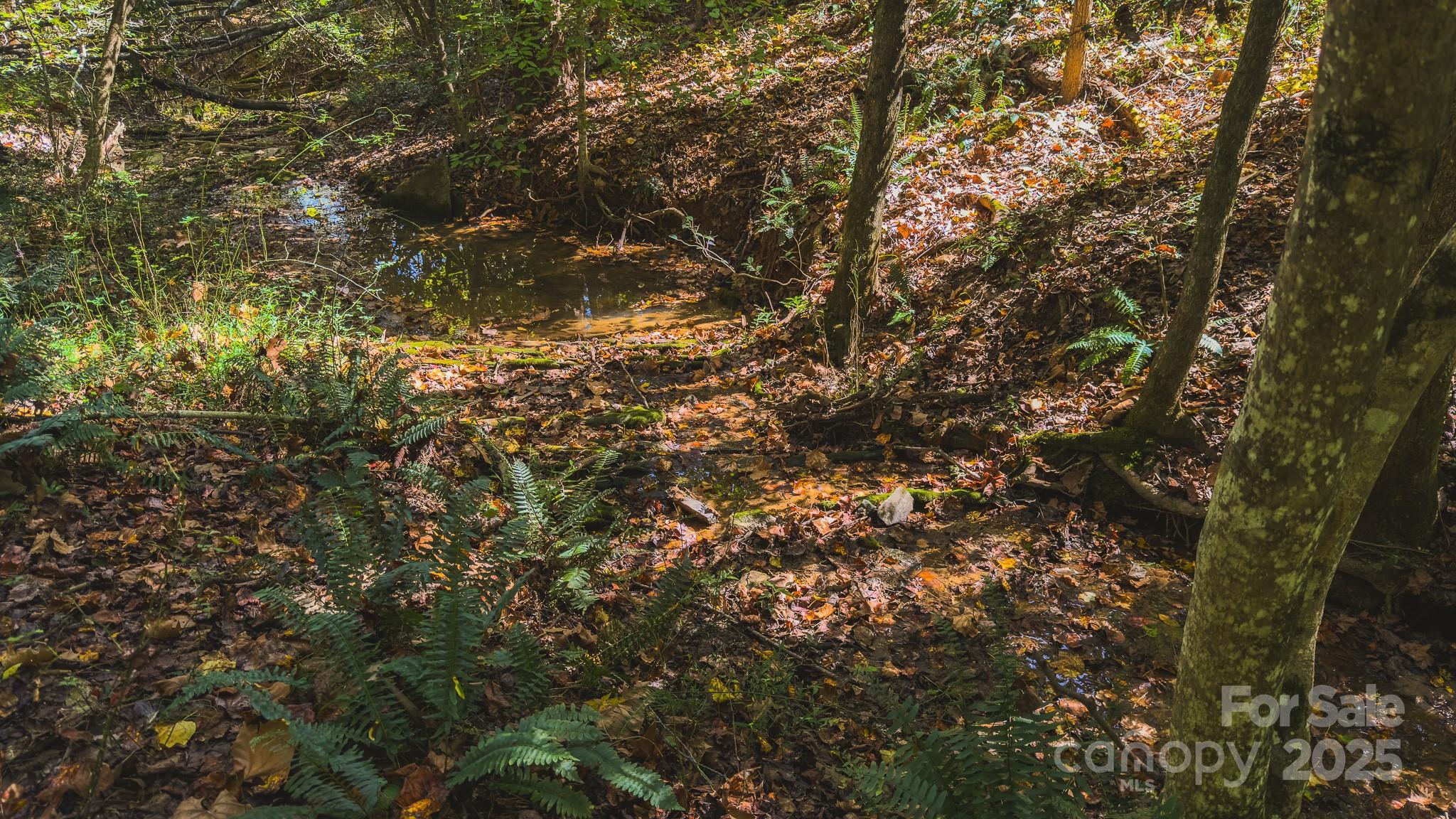 Tbd Mary Lane Property Photo 22