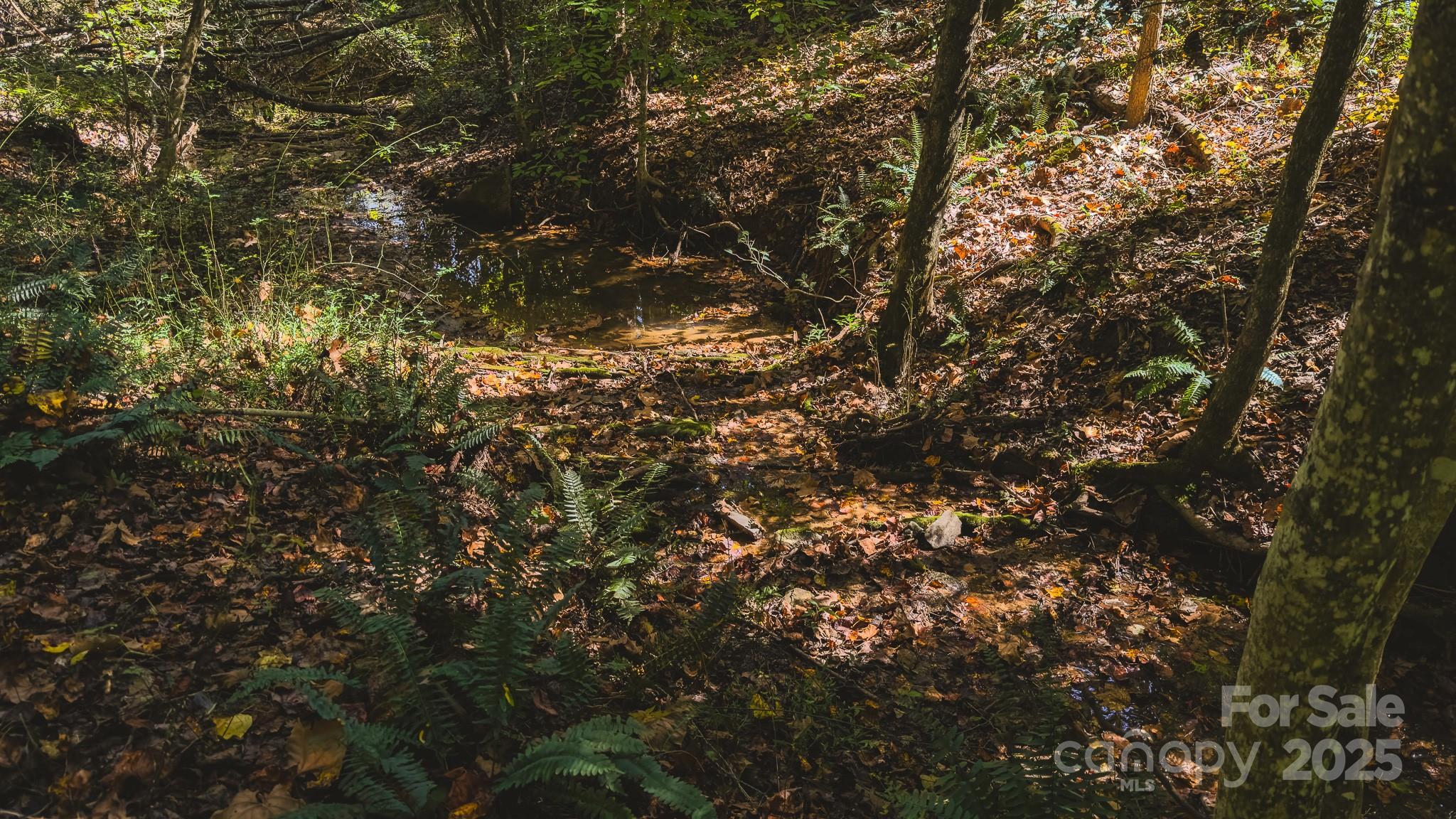 Tbd Mary Lane Property Photo 23