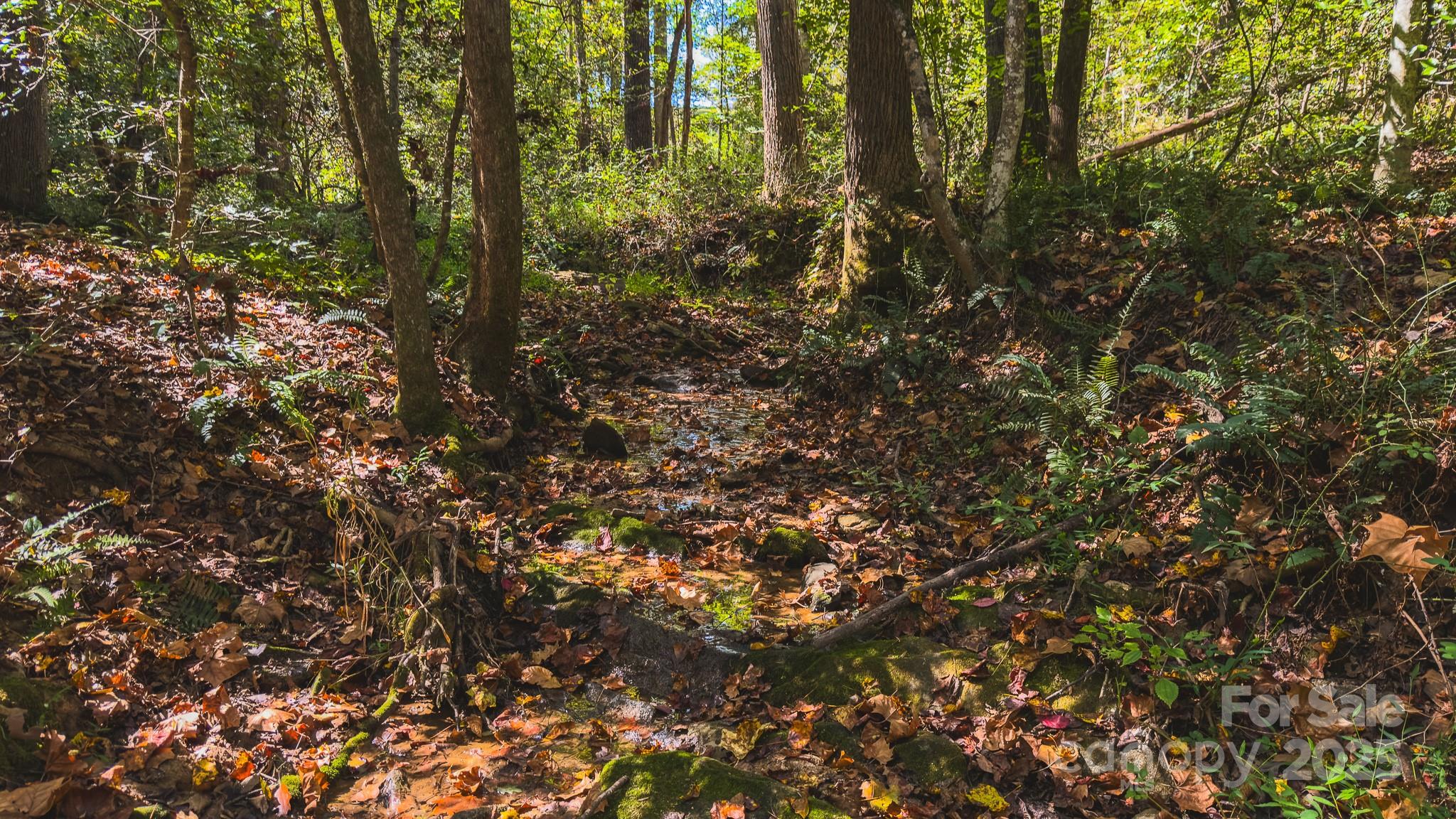 Tbd Mary Lane Property Photo 24