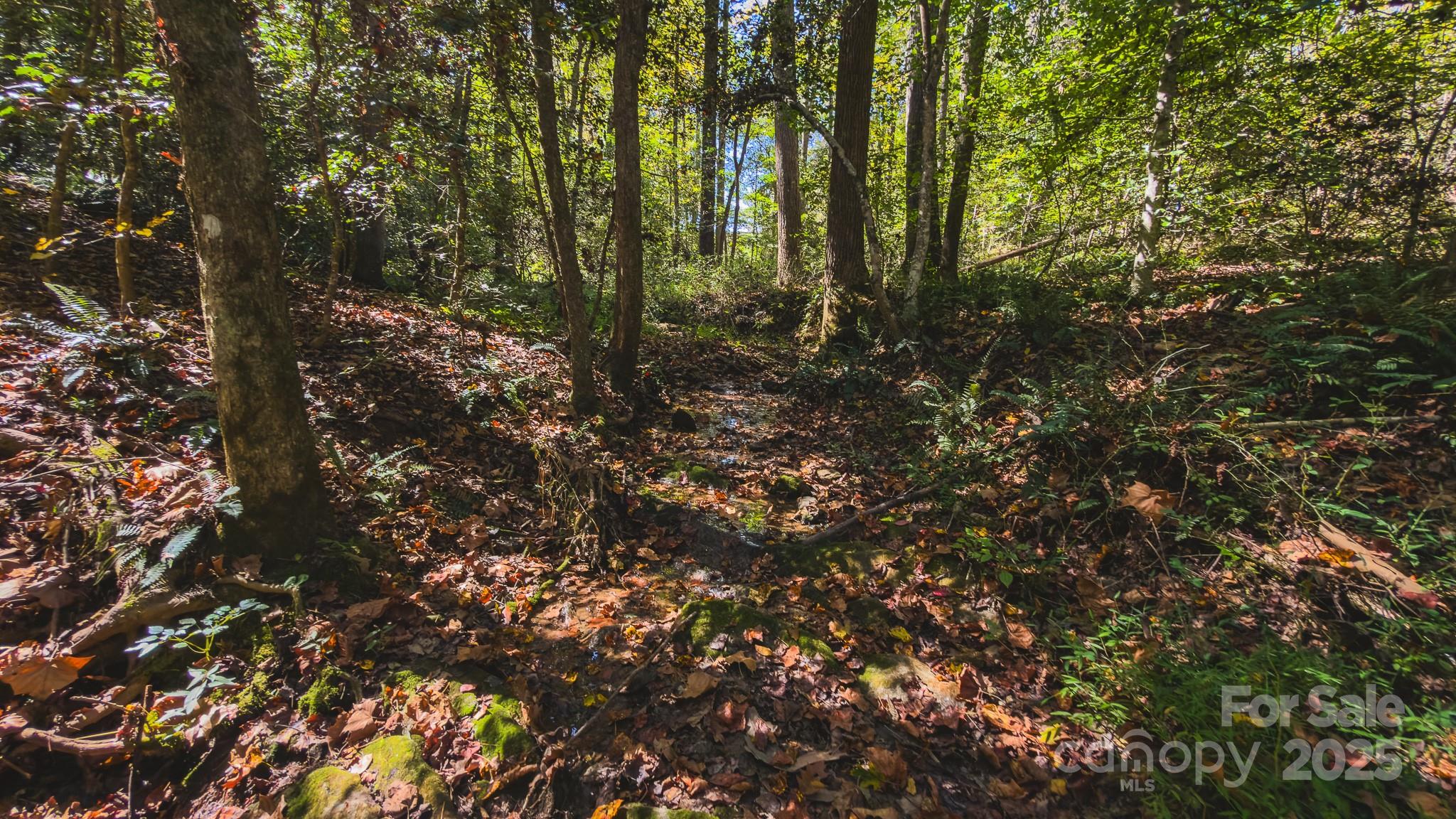 Tbd Mary Lane Property Photo 25