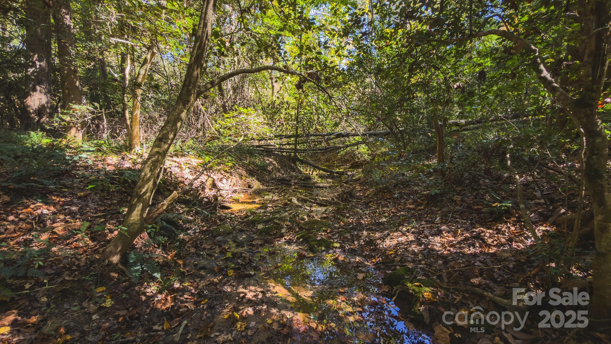 Tbd Mary Lane Property Photo 26