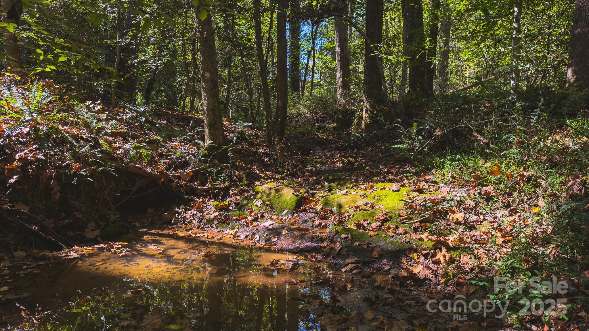 Tbd Mary Lane Property Photo 27