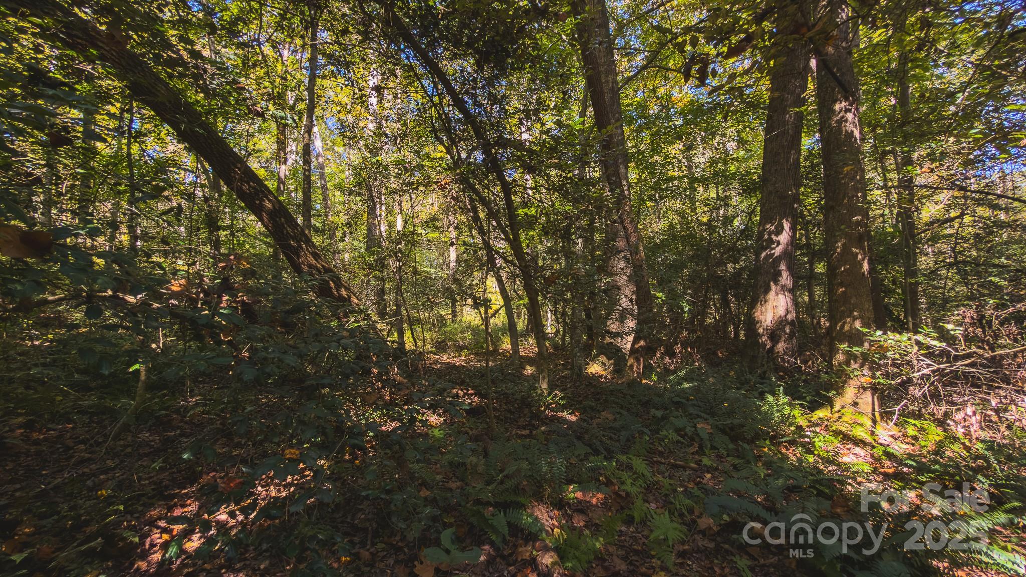 Tbd Mary Lane Property Photo 28