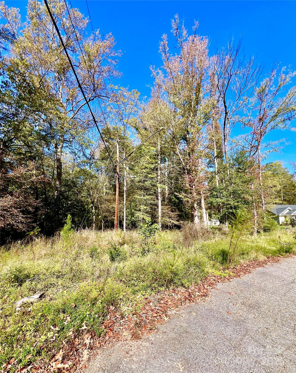 000 Riveroaks Lane Property Photo 3