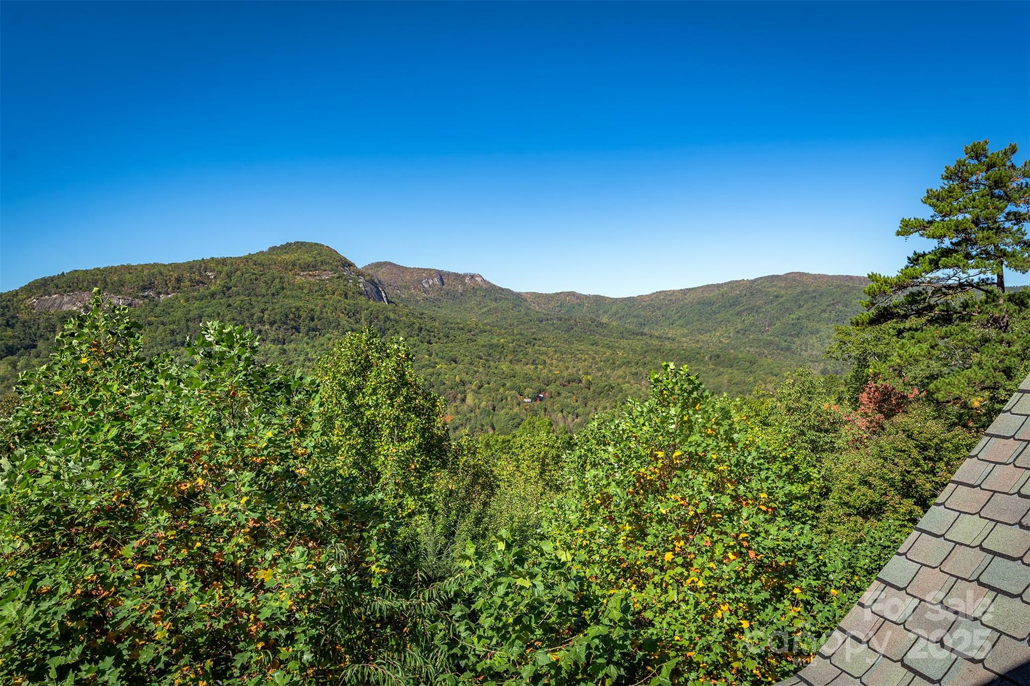 345 Hawks Nest Trail Property Photo 35