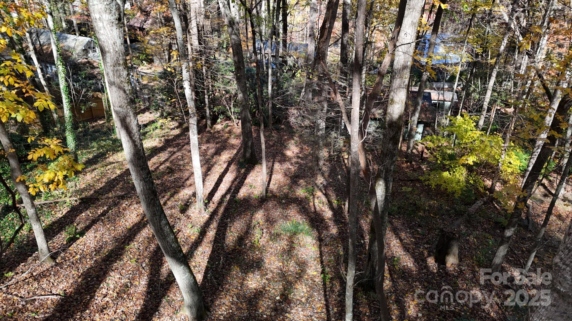Lot C31 Shady Lane Property Photo 4