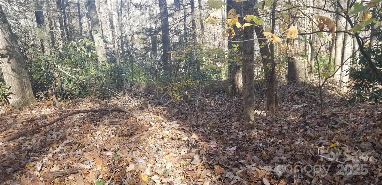 Lot C31 Shady Lane Property Photo 6