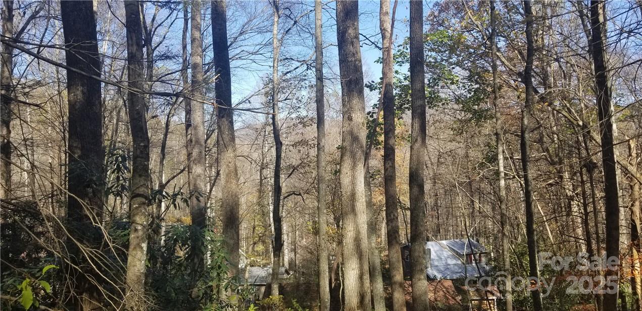 Lot C31 Shady Lane Property Photo 7