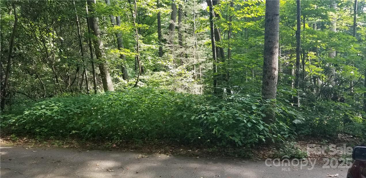 Lot C31 Shady Lane Property Photo 8