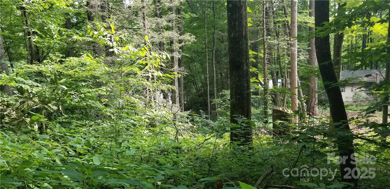 Lot C31 Shady Lane Property Photo 9