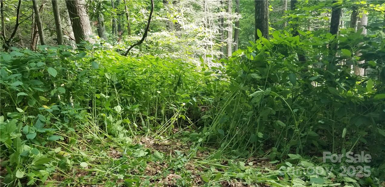 Lot C31 Shady Lane Property Photo 11