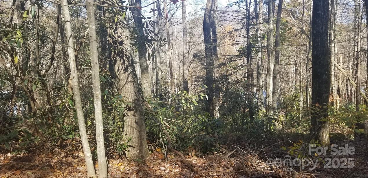 Lot C31 Shady Lane Property Photo 14
