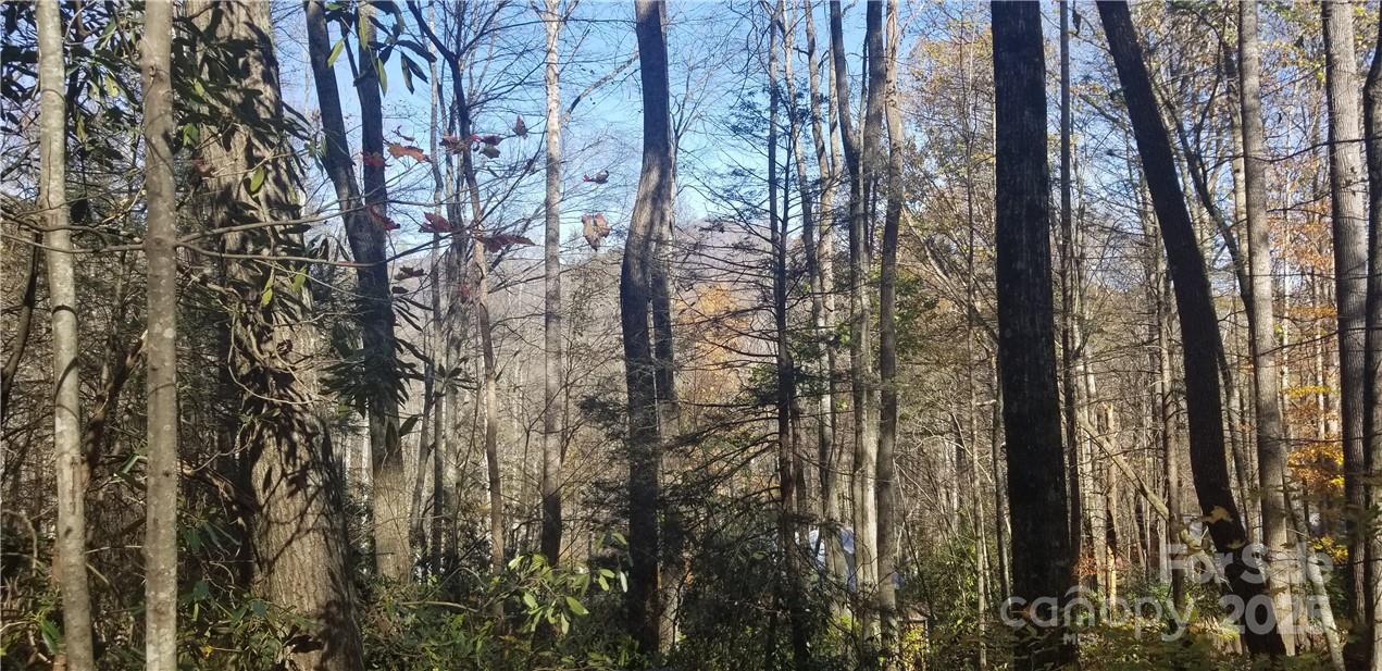 Lot C31 Shady Lane Property Photo 15