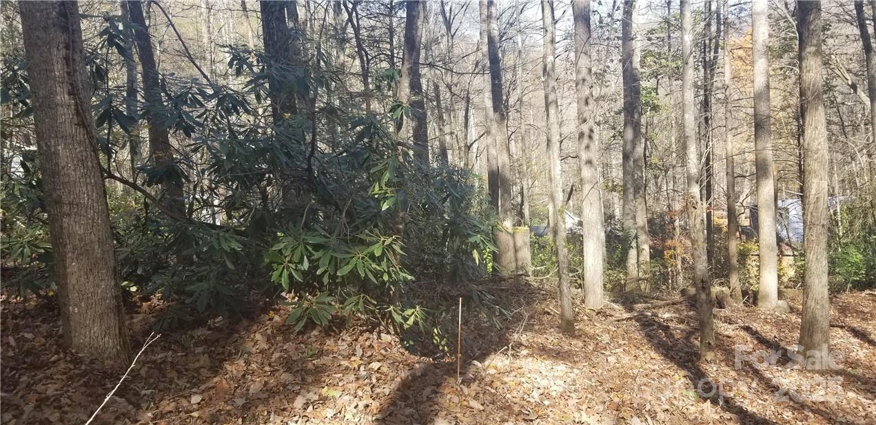 Lot C31 Shady Lane Property Photo 16
