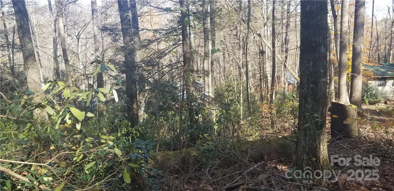 Lot C31 Shady Lane Property Photo 17