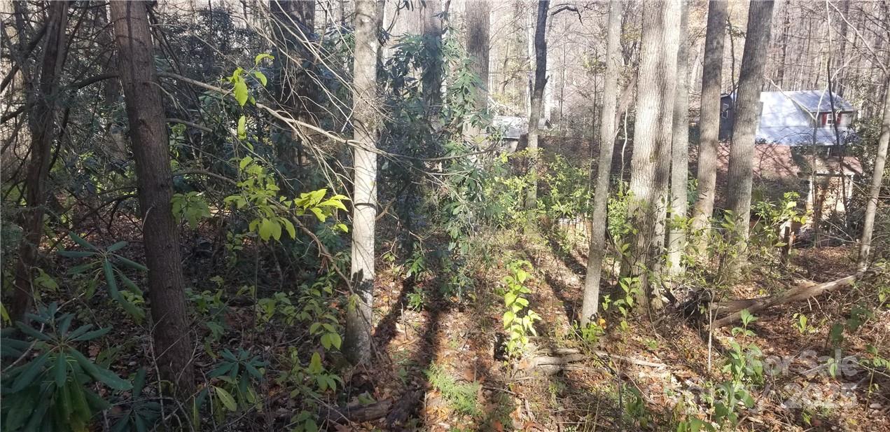 Lot C31 Shady Lane Property Photo 20