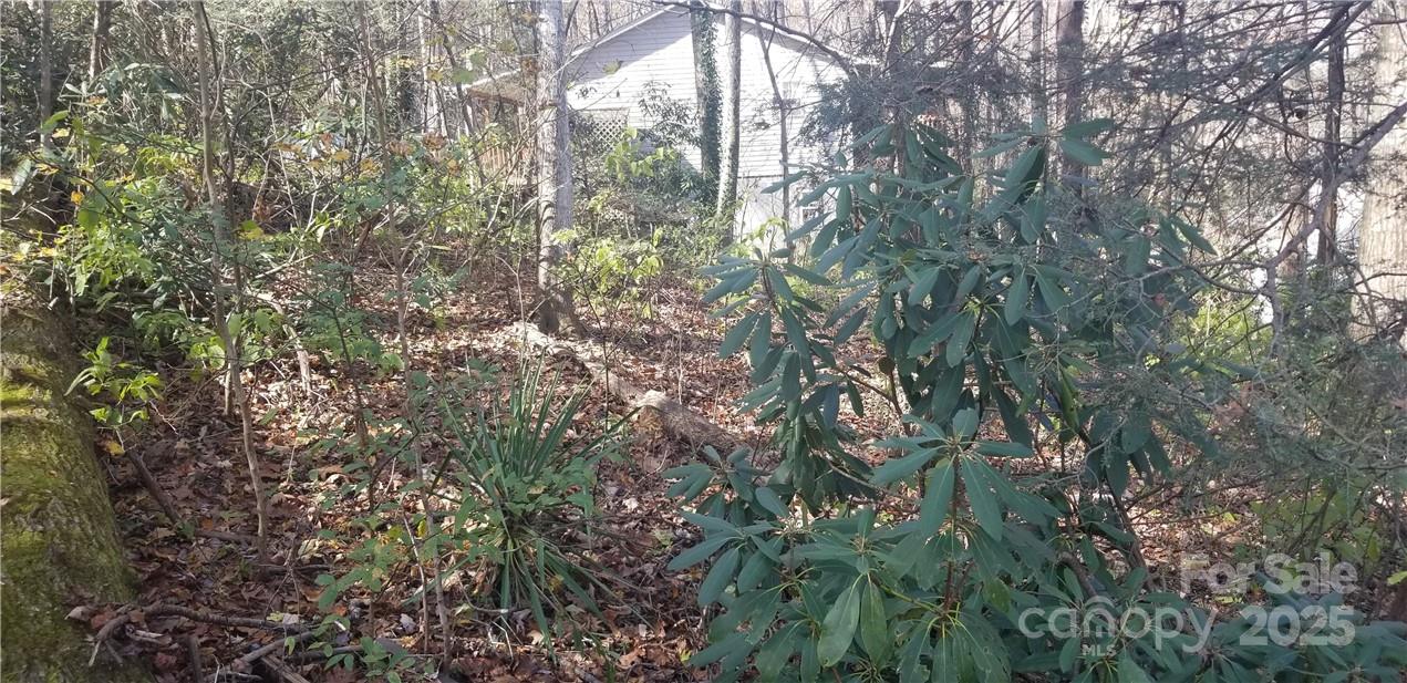 Lot C31 Shady Lane Property Photo 21
