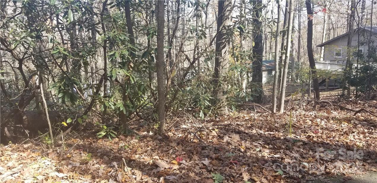 Lot C31 Shady Lane Property Photo 23