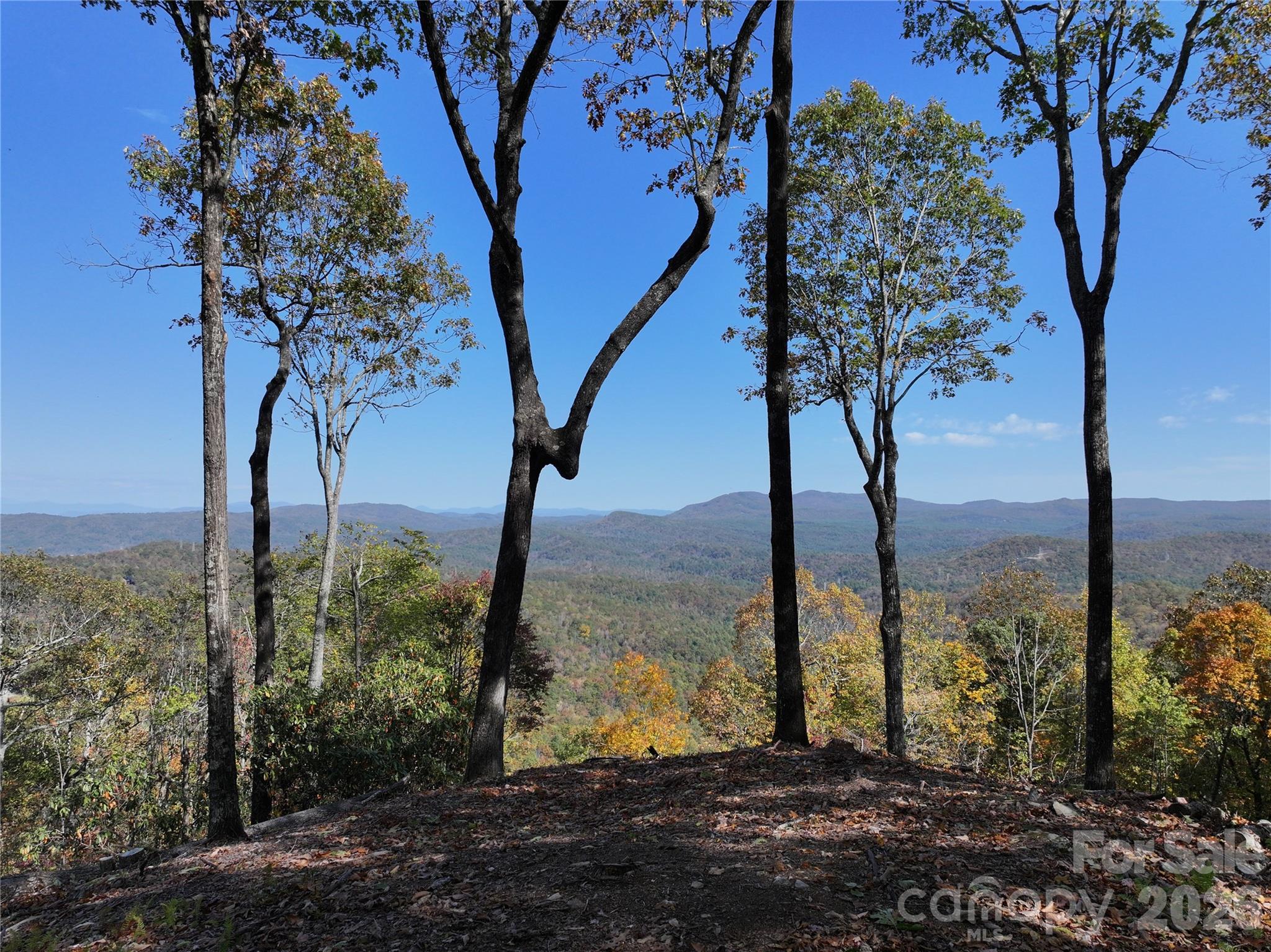 243 Ridgeline Drive Property Photo 7
